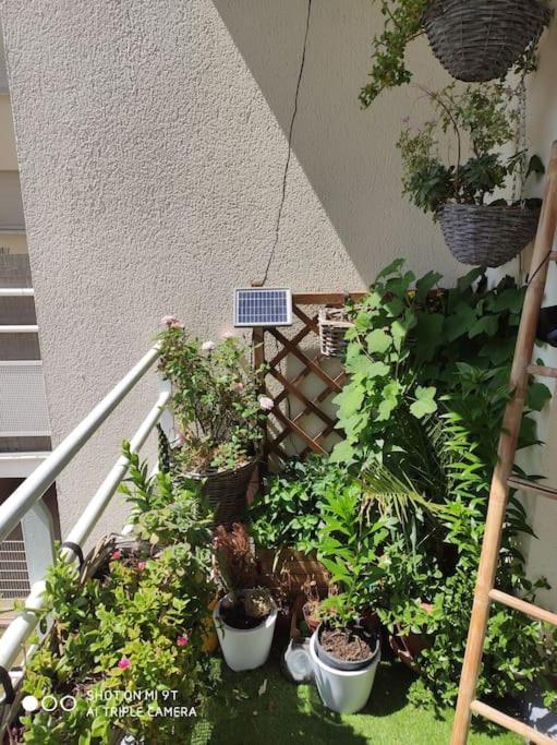 Appartement Cosy Et Calme Dugny 외부 사진